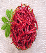 ӡS17 11f(wn)-13f(wn)SHU