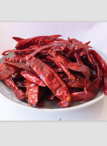 ӡ��S4��������������4�f����SHU��