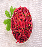 �M���ǣ������ͣ�10�f����SHU��