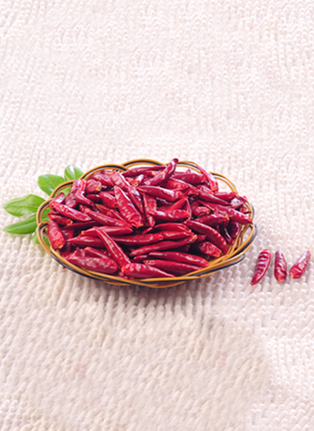 ������(������������4�f-8�fSHU)