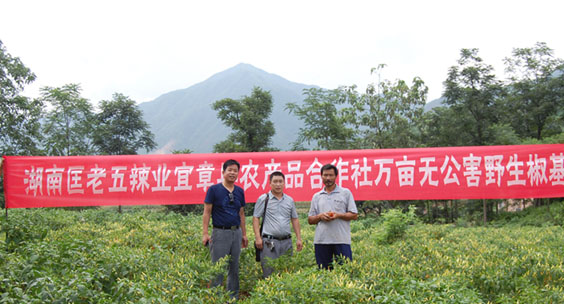 ���������I(y��)