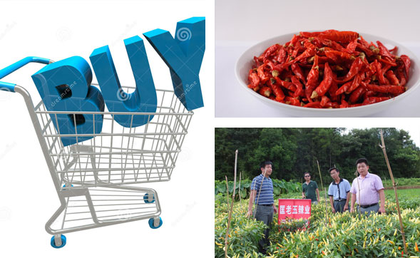 ���ϸ��������l(f��)�Ј�