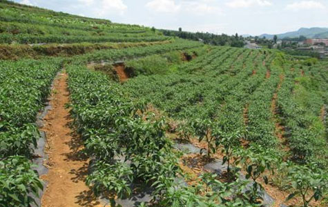 ���콷���l(f��)