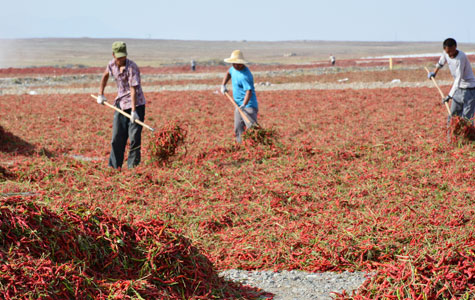 �ɳ��콷���l(f��)