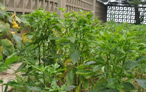 ���콷���l(f��)