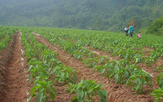 ���콷���l(f��)