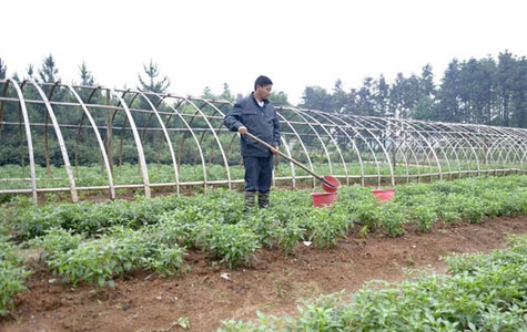 ���콷���l(f��)