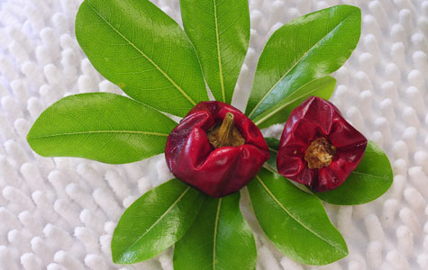 �������S��